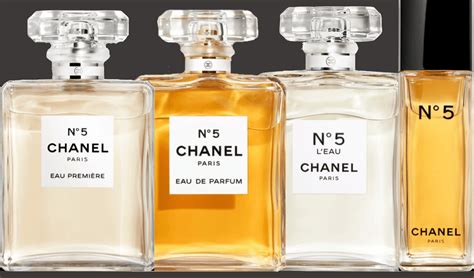 chanel no 5 versus no 19